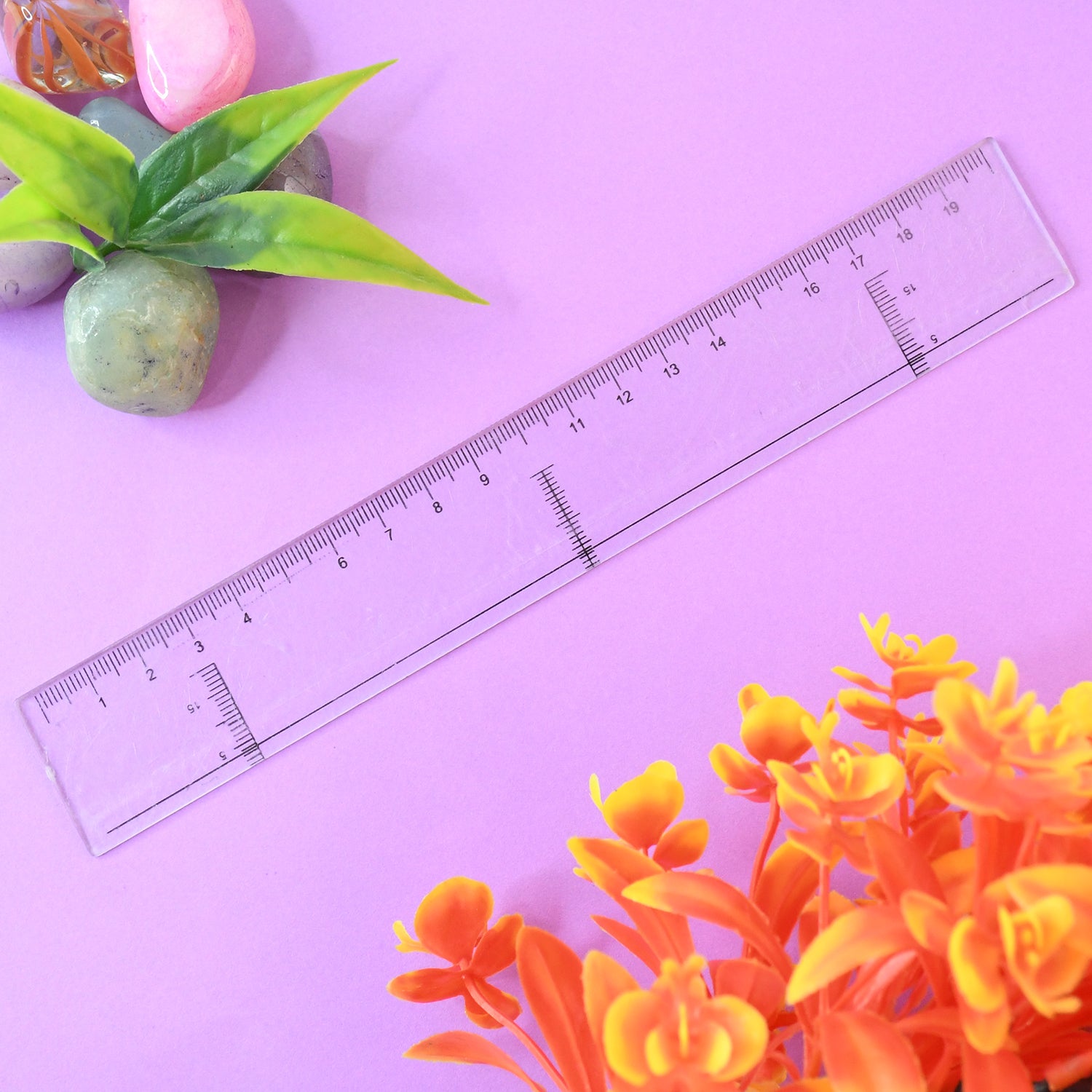 20 Cm Transparent Plastic Ruler (1 Pc)