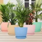 Plastic Flower Pot With Bottom Tray (5 Pcs Set)