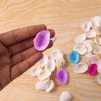 Decorative Seashells Set  (1 Set)