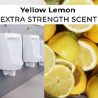 Urinal Screen Deodorizer Mat (2 Pc Set)