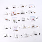 Seeds 20 Varieties Of Flower Seeds Combo (1 Pkt  20 Varieties)