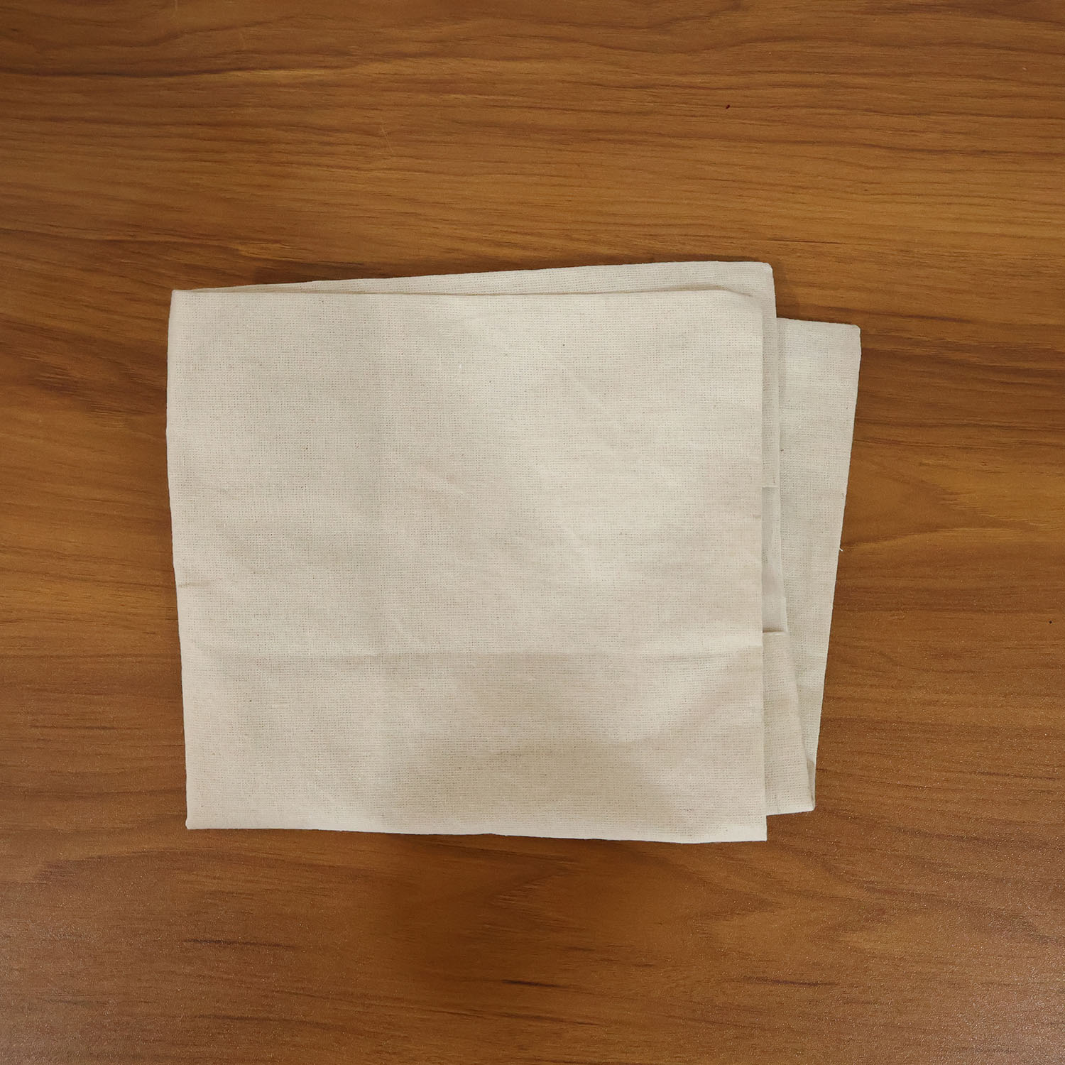 Zip Closure Saree Storage Bag (14.516.5 Cm 1 Pc)