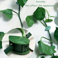 7348 Plant Climbing Wall Fixture Clip Self-adhesive Hook Vines Traction Invisible Stand Green Plant Clip Garden Wall Clip Plant Support Binding Clip Plants For Indoor Outdoor Decoration (10 Pcs Set)