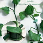 7348 Plant Climbing Wall Fixture Clip Self-adhesive Hook Vines Traction Invisible Stand Green Plant Clip Garden Wall Clip Plant Support Binding Clip Plants For Indoor Outdoor Decoration (10 Pcs Set)