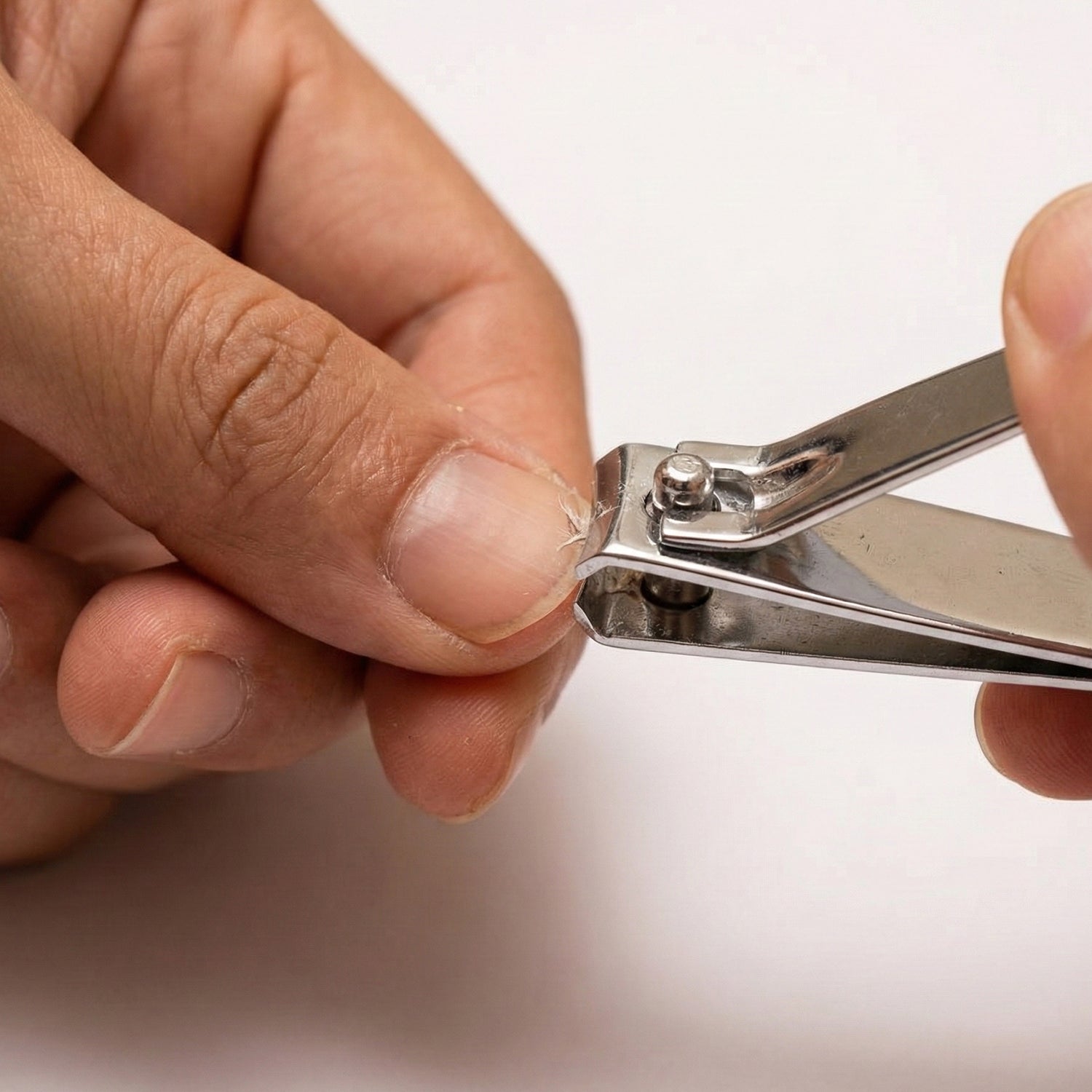 Premium Heavy-duty Stainless Steel Nail Cutter (1 Pc)