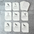 Kidkraft Early Learner Educational Flashcards  32 Birds
